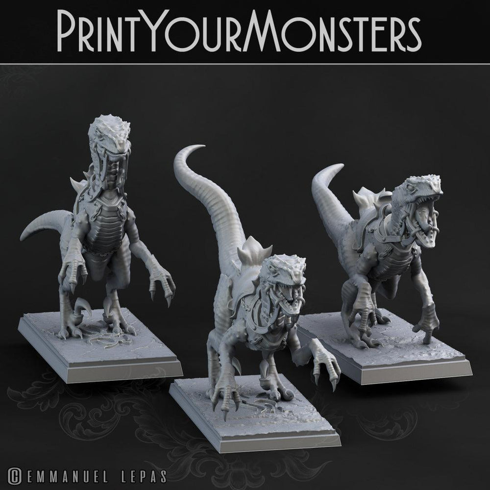 3D Printed Print Your Monsters Dark Elves Rider Set B 28mm - 32mm D&D Wargaming (Online Only)