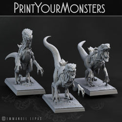 3D Printed Print Your Monsters Dark Elves Rider Set B 28mm - 32mm D&D Wargaming (Online Only)
