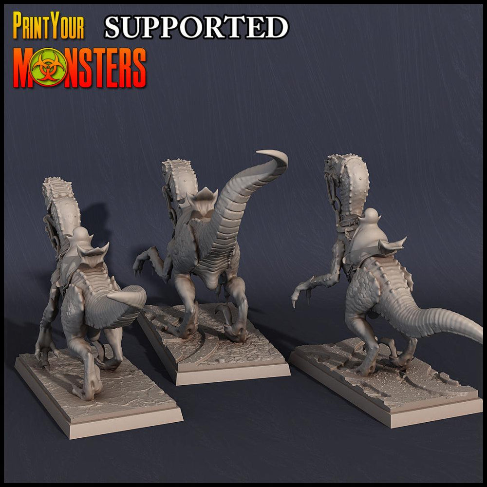 3D Printed Print Your Monsters Dark Elves Rider Set B 28mm - 32mm D&D Wargaming (Online Only)