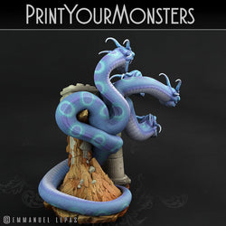 3D Printed Print Your Monsters Shadow Hydra Total Serpents 28mm - 32mm D&D Wargaming (Online Only)