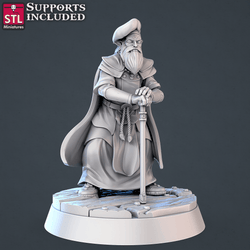 3D Printed STL Miniatures Jousting Set 28mm - 32mm War Gaming D&D (Online Only)