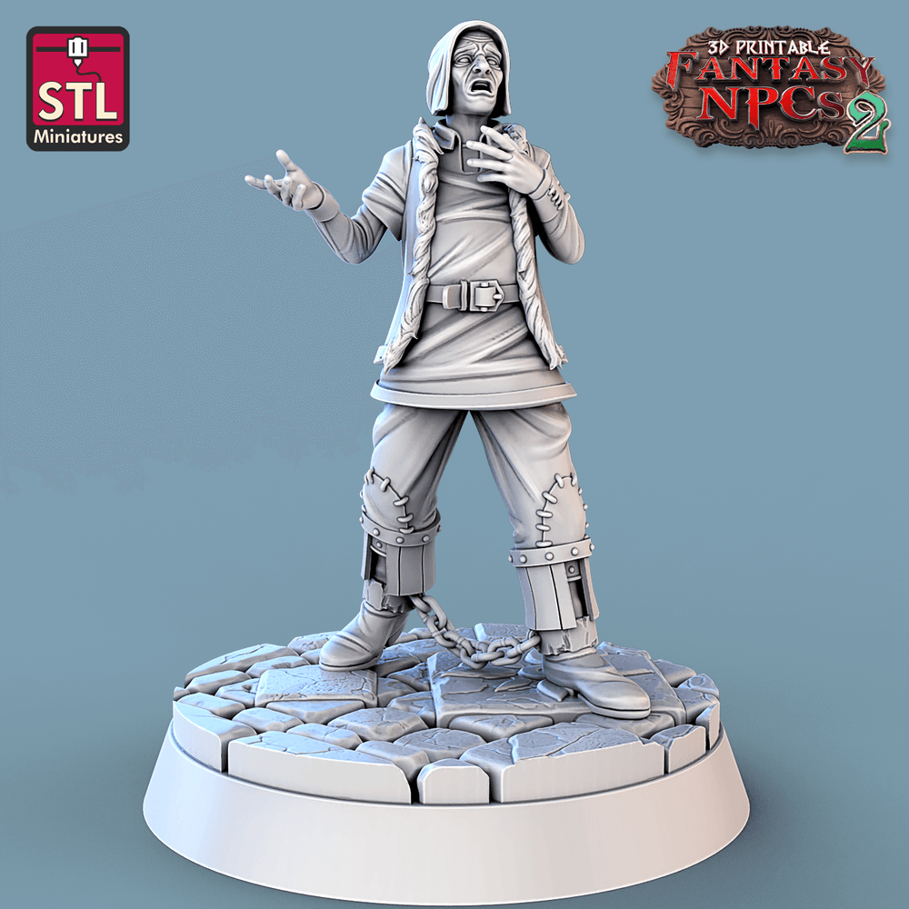 3D Printed STL Miniatures Magistrate Set Fantasy NPC 2 | 28 - 32mm War Gaming D&D (Online Only)
