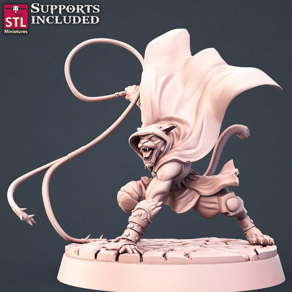 3D Printed STL Miniatures Tabaxi Assassins Set 28 - 32mm War Gaming D&D (Online Only)