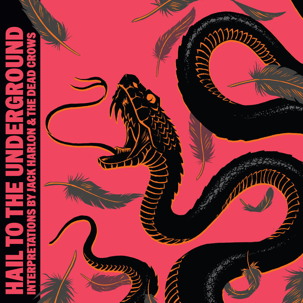 Hail To The Underground [LP]
