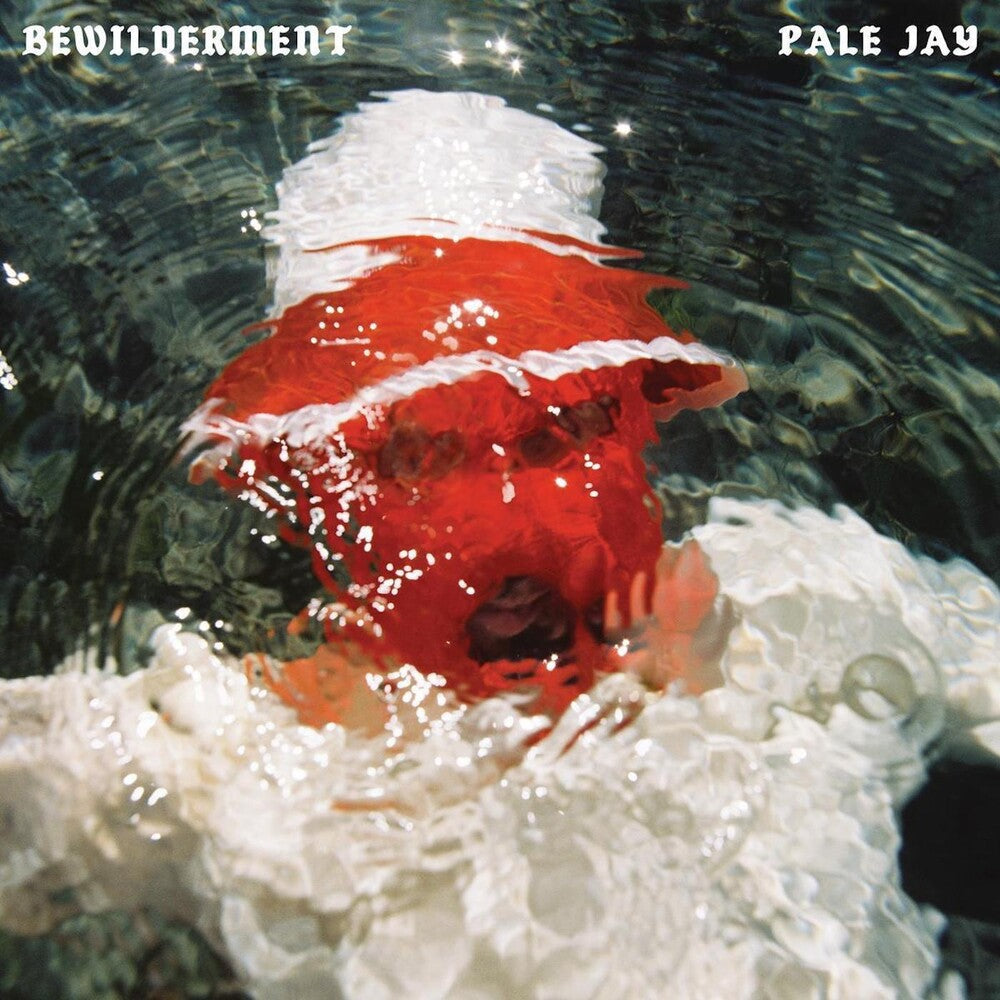 Bewilderment [LP]