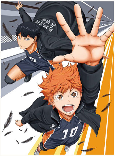Haikyuu! Wallscroll (ONLINE ORDER ONLY)