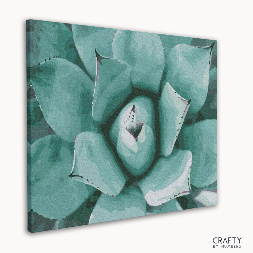 Succulent (ONLINE ORDER ONLY)