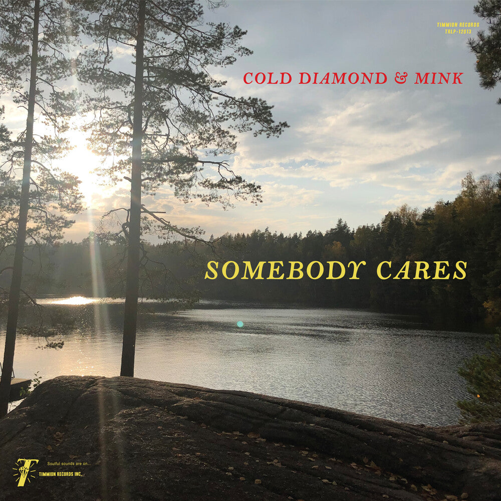 Somebody Cares [LP]