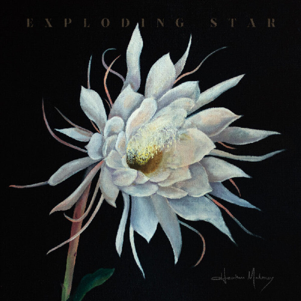 Exploding Star [LP]