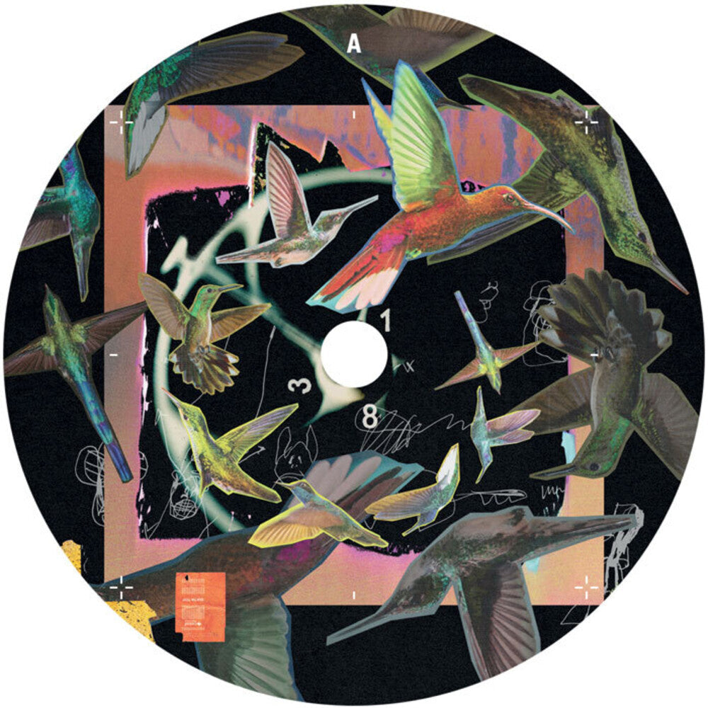 Don't Go [12" Vinyl] (ONLINE ORDER ONLY)