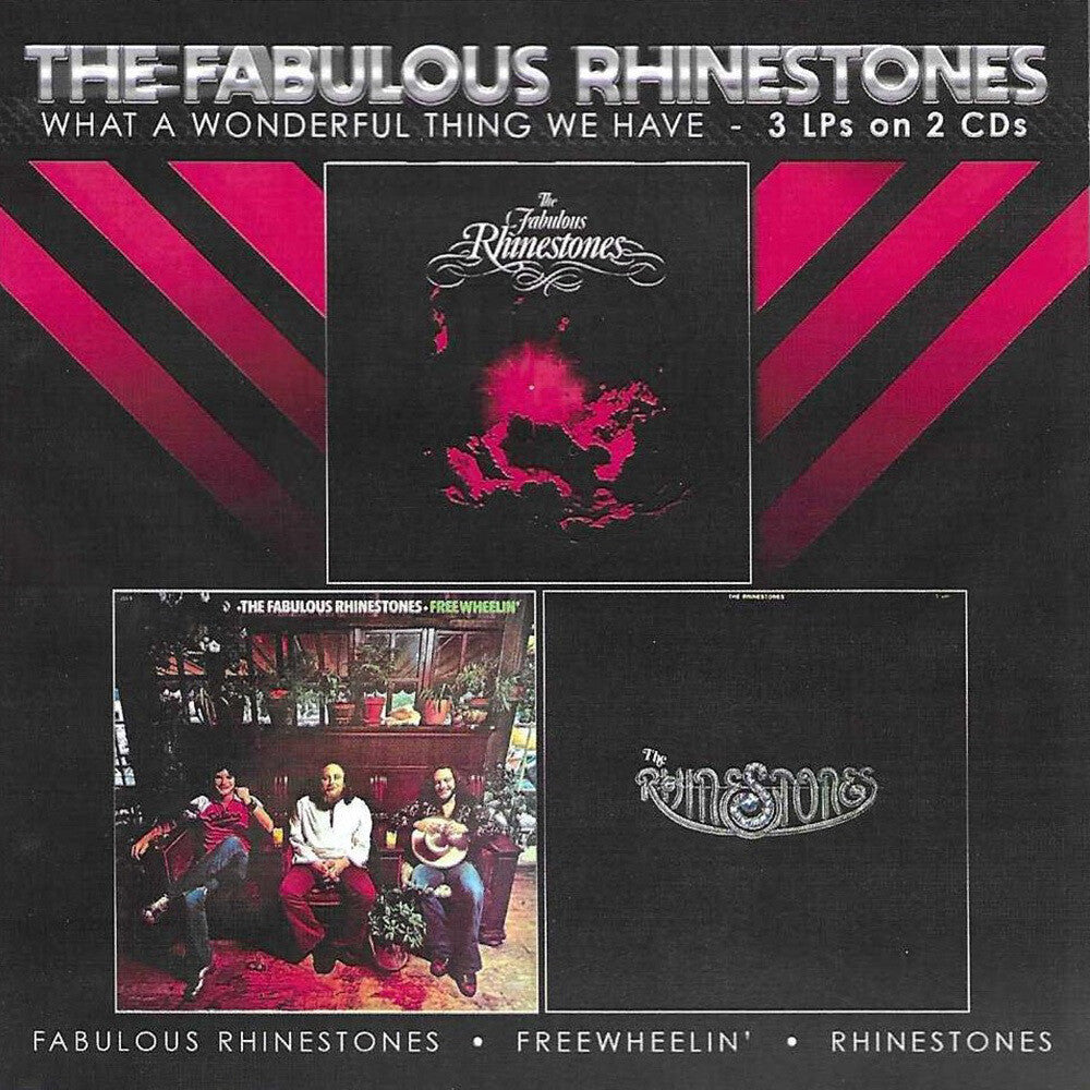 What A Wonderful Thing We Have [CD]