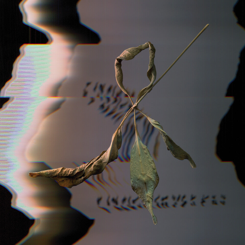 Trill Scan [CD]
