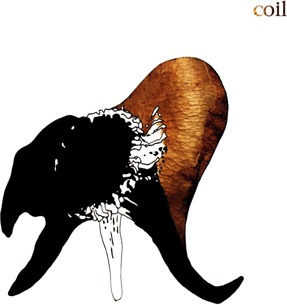 Black Antlers [CD]