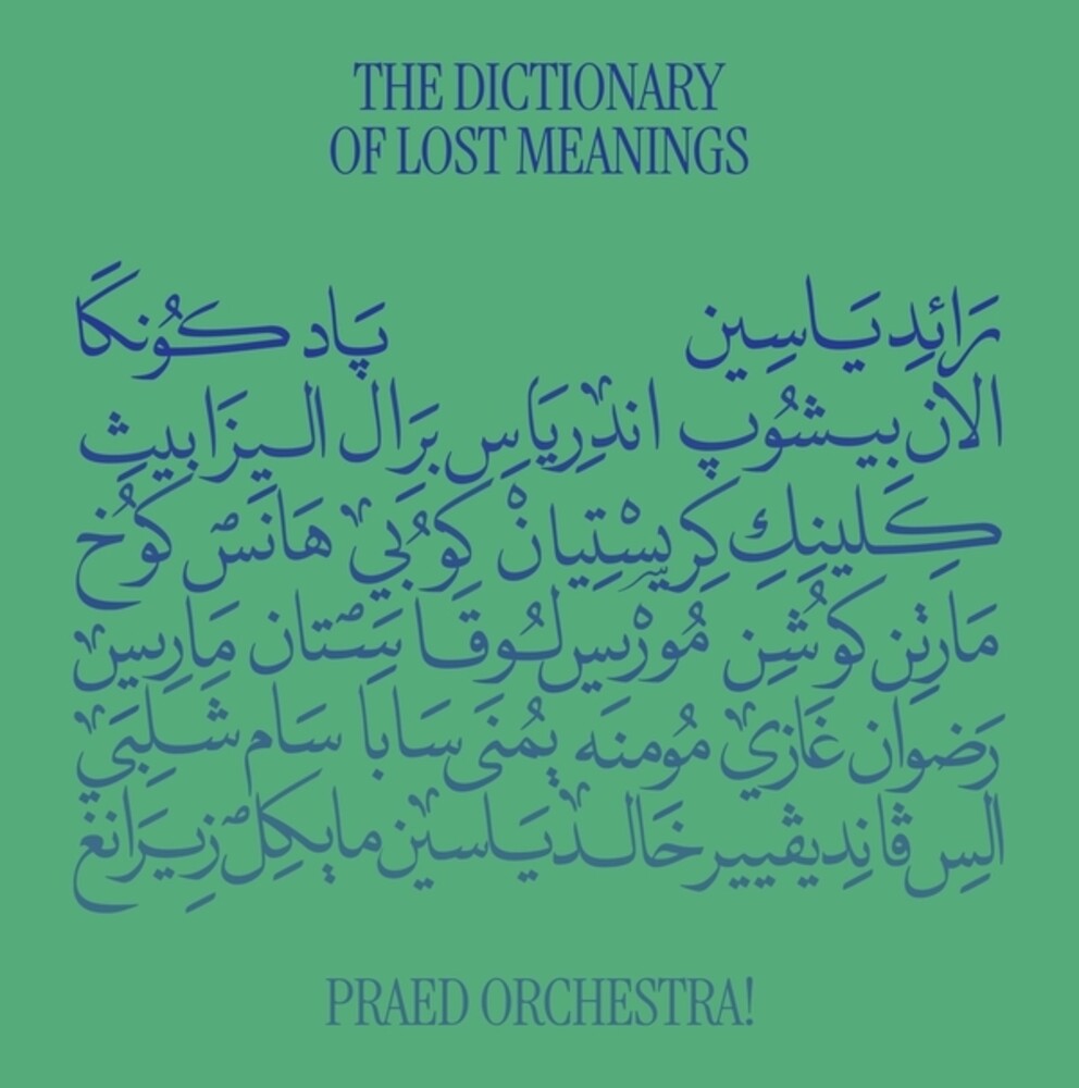 Dictionary Of Lost Meanings [LP]