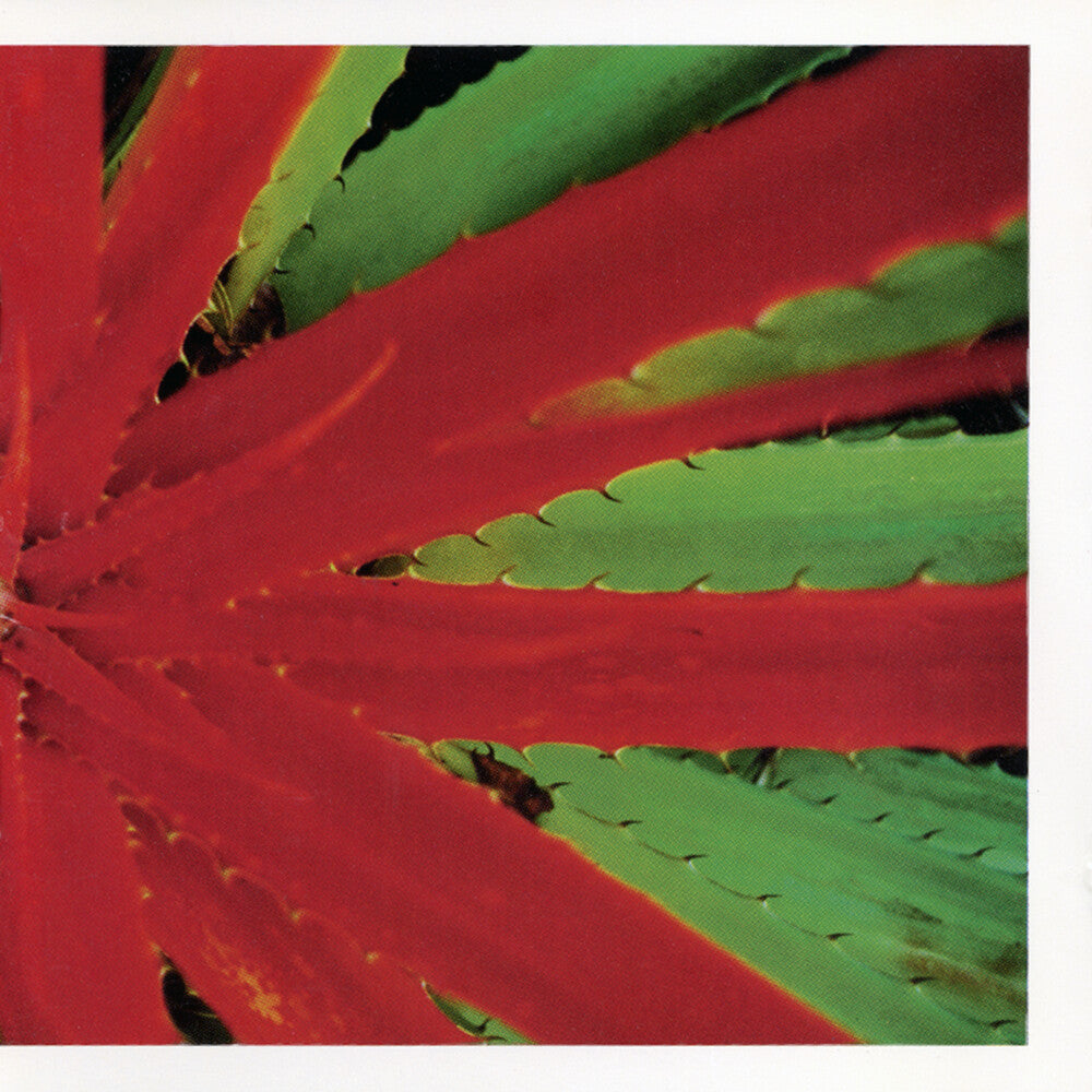 This Afternoons Malady [LP]