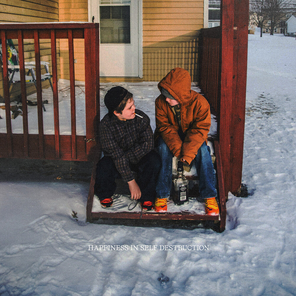 Happiness In Self Destruction (Aniv) [LP]