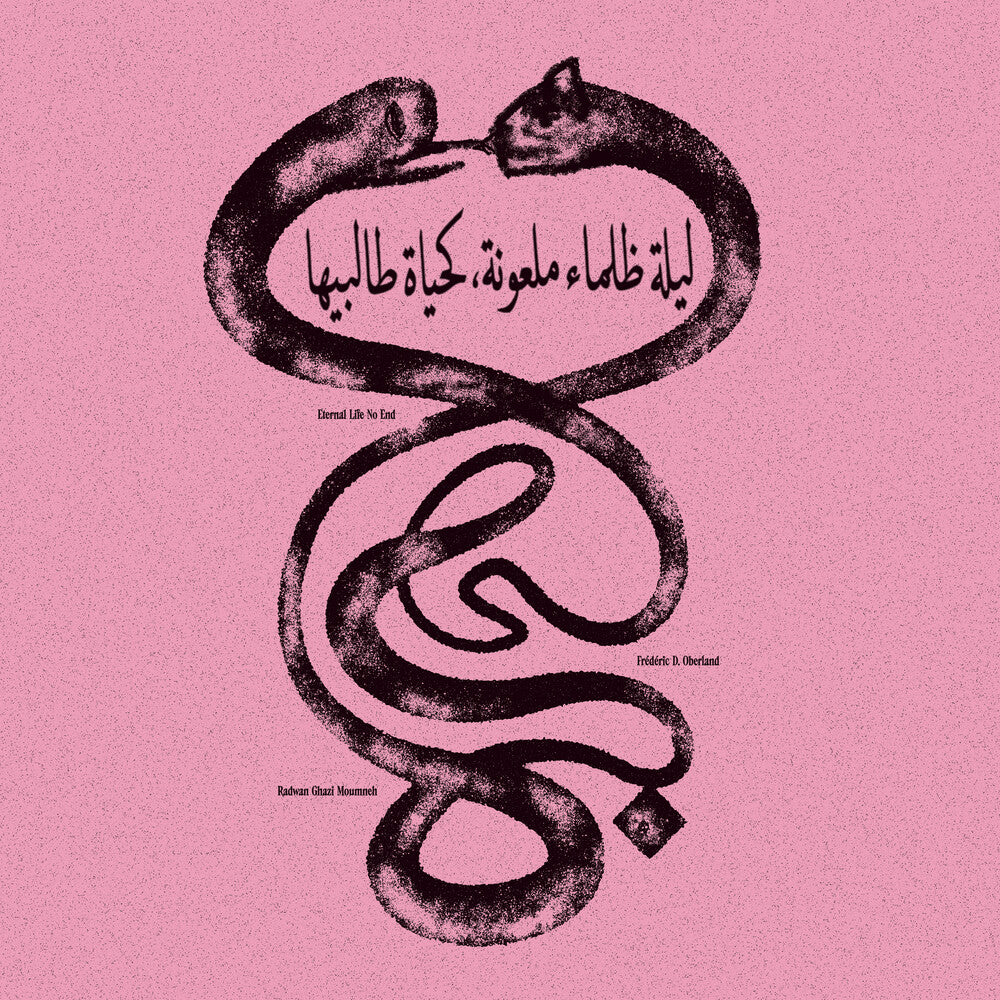 Eternal Life No End [LP]