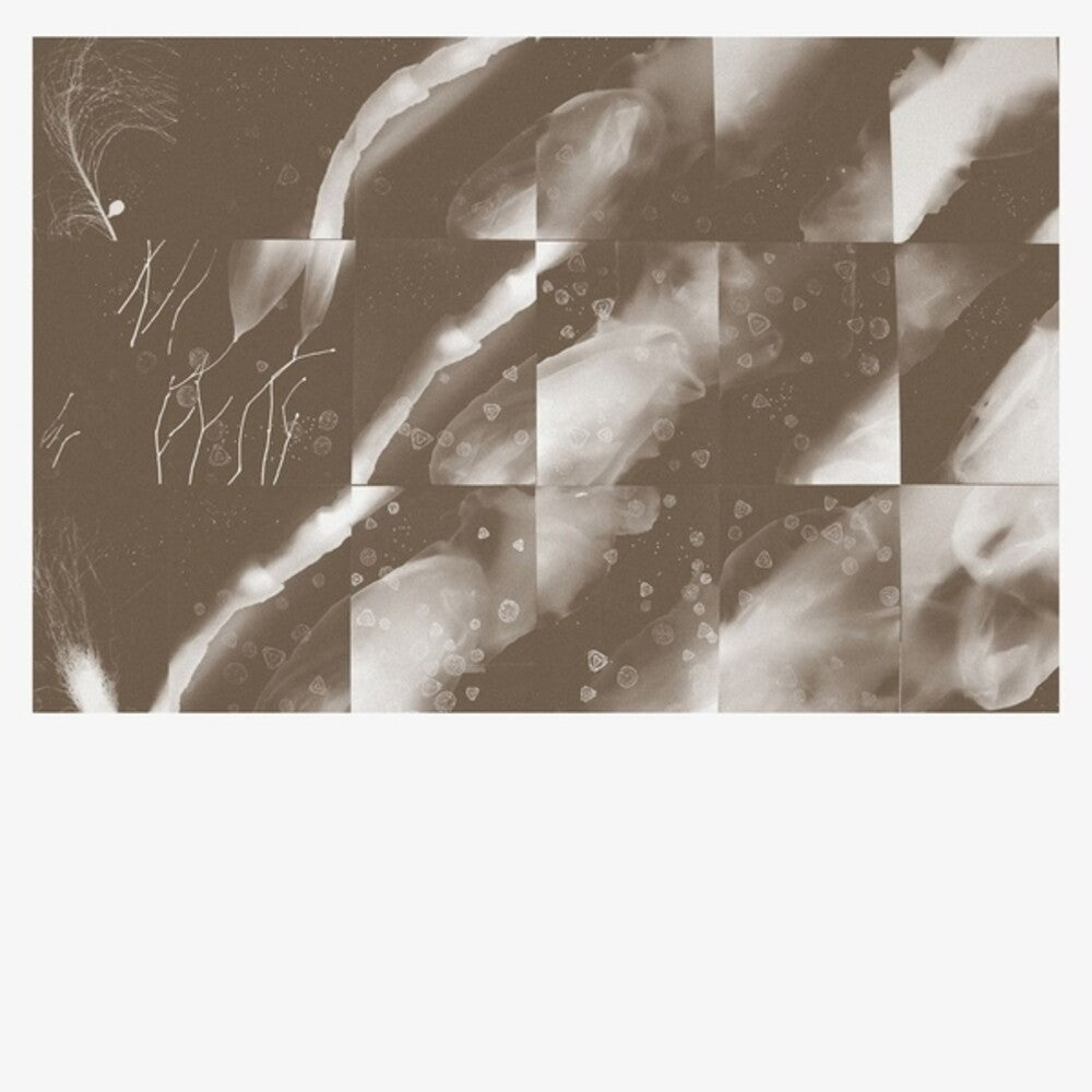 For A Moment The Sky Knew My Name [CD]