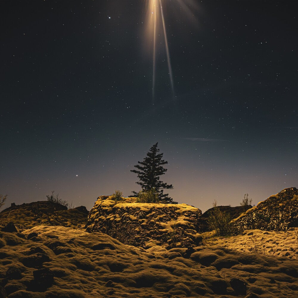 Second Coming Was A Moonrise [LP]