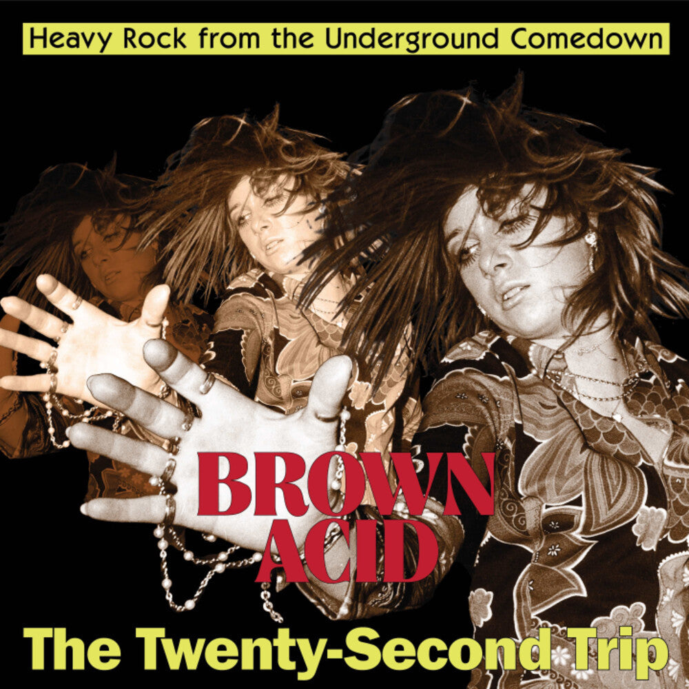 Brown Acid - Twenty-Second Trip / Various [CD]