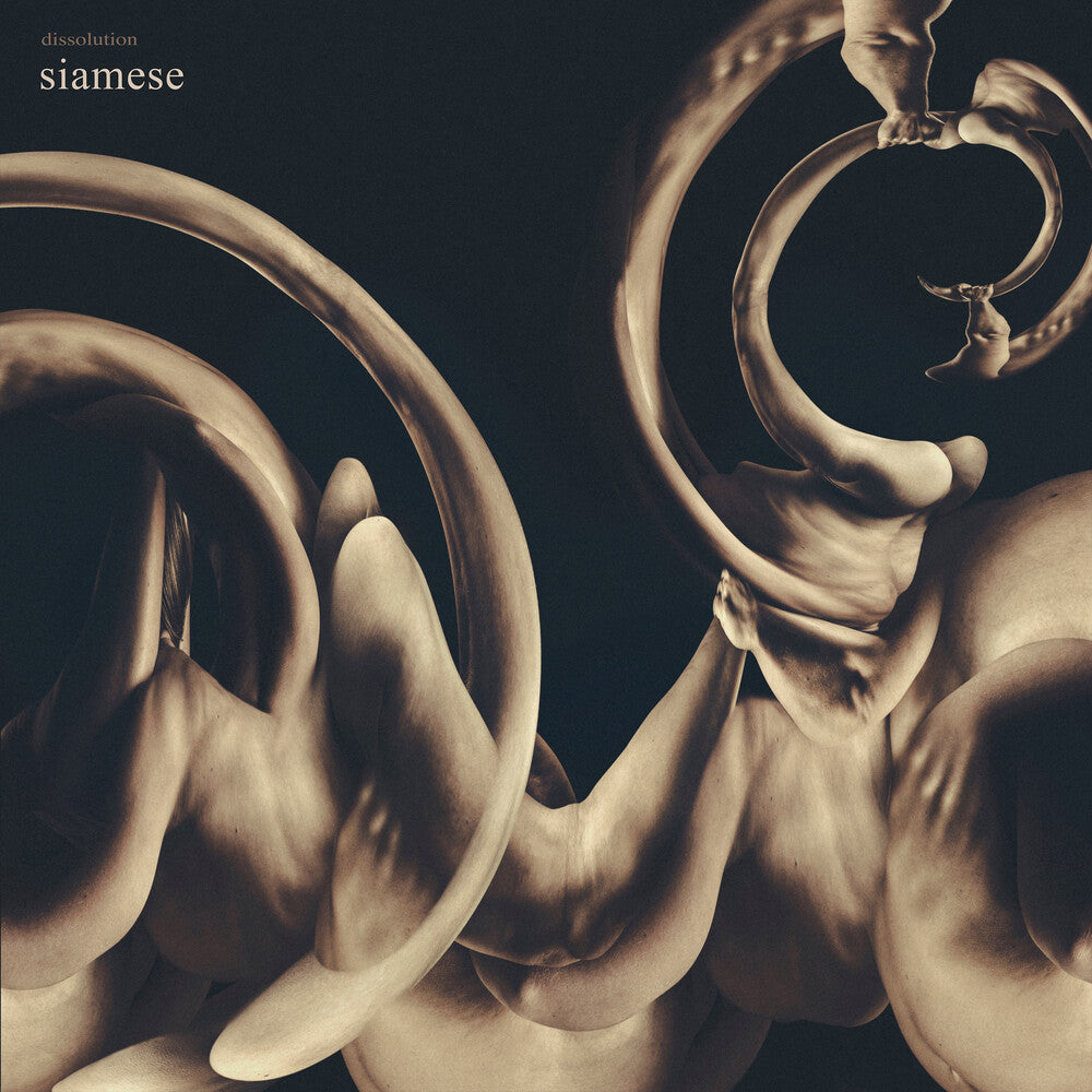 Dissolution [CD]