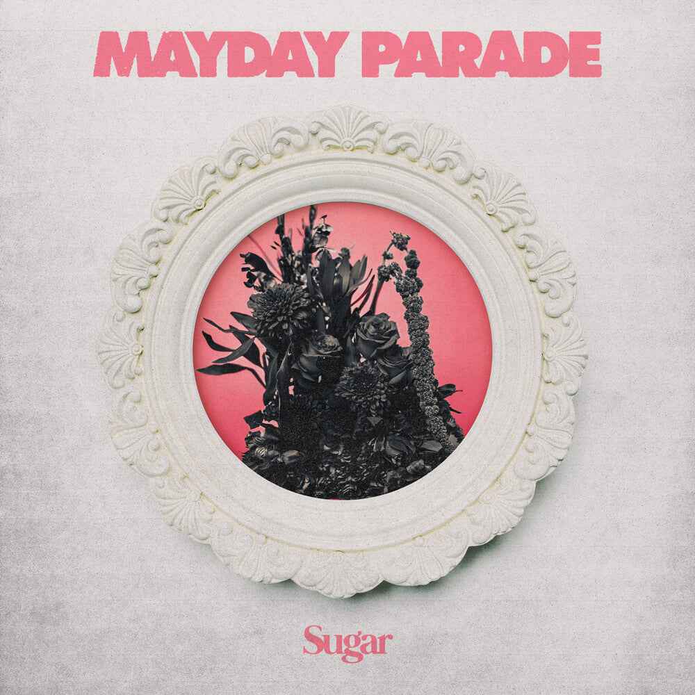 Sugar [Black]