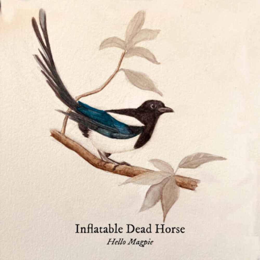 Hello Magpie [LP]
