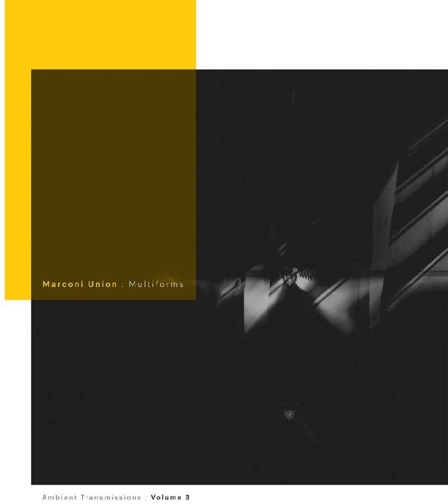 Pre-Order: Multiforms: Ambient Transmissions Vol. 3 [LP] (ONLINE ORDER ONLY)