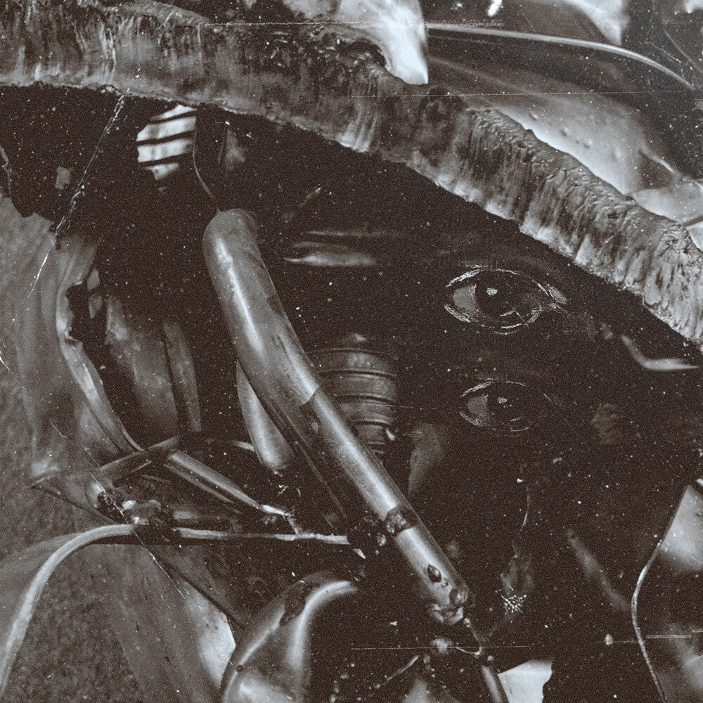 Nowhere Speaks [CD]