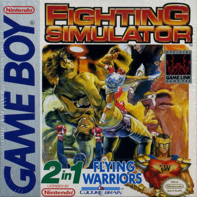Fighting Simulator: 2-in-1 Flying Warriors (Gameboy) (ONLINE ORDER ONLY)