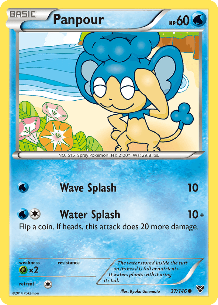Panpour (37/146) [XY: Base Set] (Online Only)