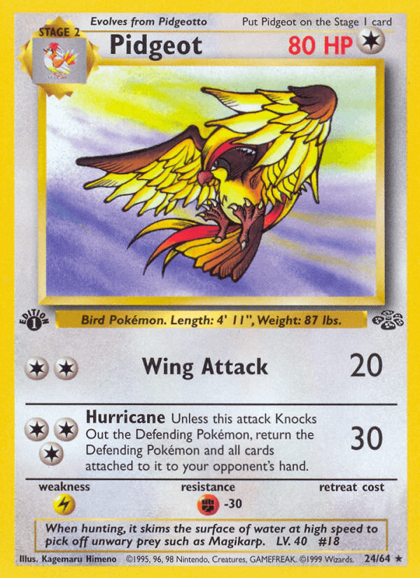 Pidgeot (24/64) [Jungle 1st Edition] (Online Only)