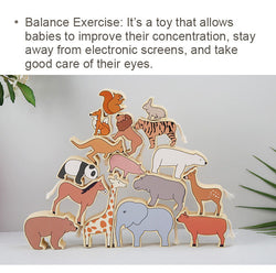 Animal Balance Building Blocks (ONLINE ORDER ONLY)