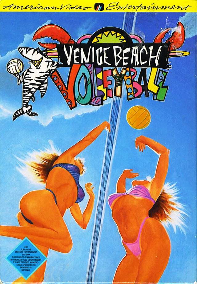 Venice Beach Volleyball (Nintendo NES) (Online Only)