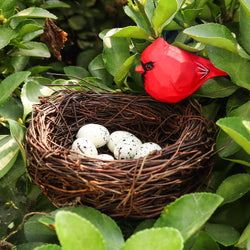 Handmade Bird Nest with Realistic Eggs — Natural Decor or Companion for Hand-Carved Bird Figures (ONLINE ORDER ONLY)