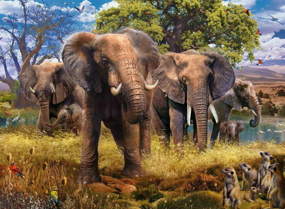 Puzzle: Elephants