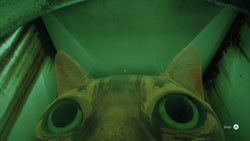 Stray (Playstation 5) (ONLINE ORDER ONLY)