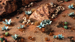 Gamers Grass | Laser Plants | Blue Agave (ONLINE ORDER ONLY)