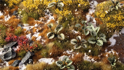 Gamers Grass | Laser Plants | Bugloss (ONLINE ORDER ONLY)