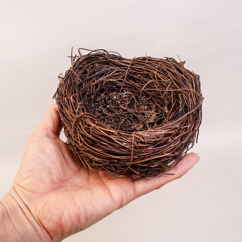 Handmade Bird Nest with Realistic Eggs — Natural Decor or Companion for Hand-Carved Bird Figures (ONLINE ORDER ONLY)