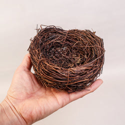 Handmade Bird Nest with Realistic Eggs — Natural Decor or Companion for Hand-Carved Bird Figures (ONLINE ORDER ONLY)