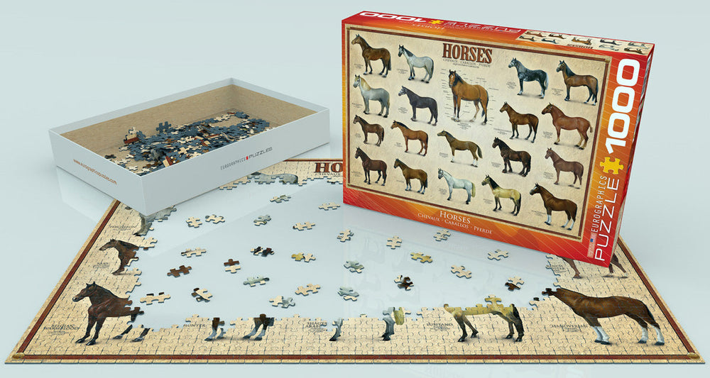 Puzzle: Animal Charts - Horses