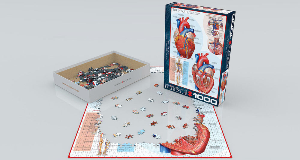 Puzzle: History & General Interest - The Heart