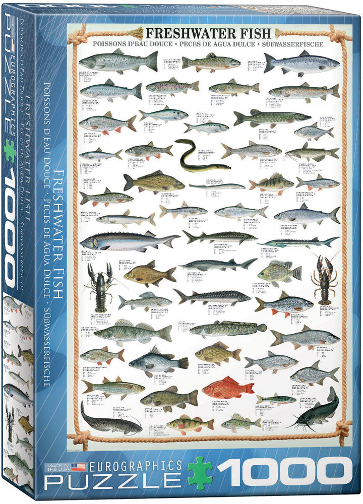 Puzzle: Animal Charts - Freshwater Fish
