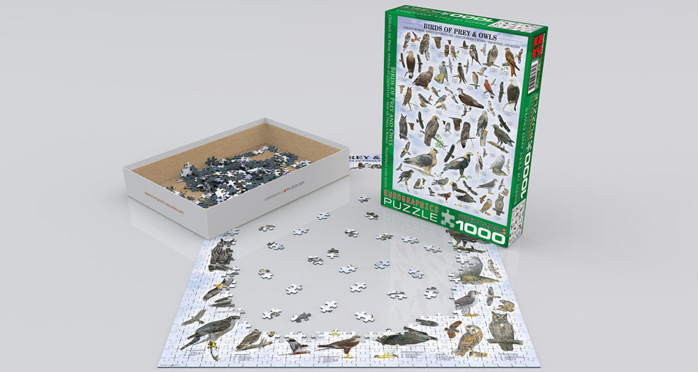 Puzzle: Animal Charts - Birds of Prey and Owls