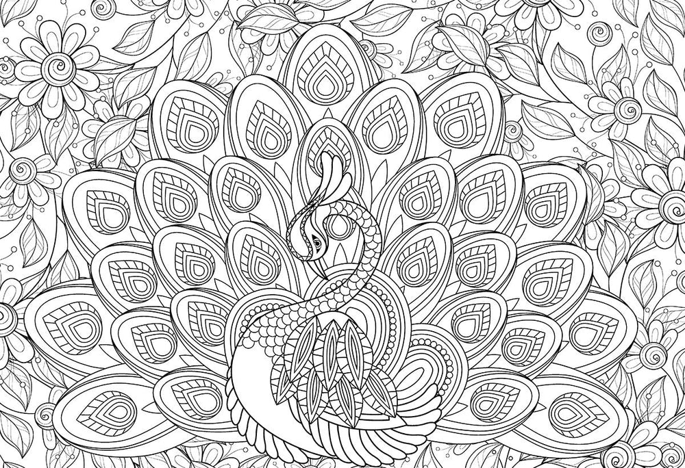 Puzzle: Color-Me Collection - Majestic Feathers