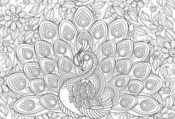 Puzzle: Color-Me Collection - Majestic Feathers