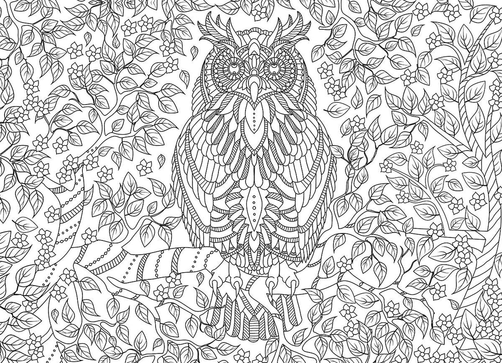 Puzzle: Color-Me Collection - Vibrant Wisdom