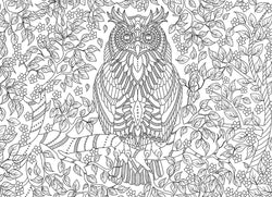 Puzzle: Color-Me Collection - Vibrant Wisdom