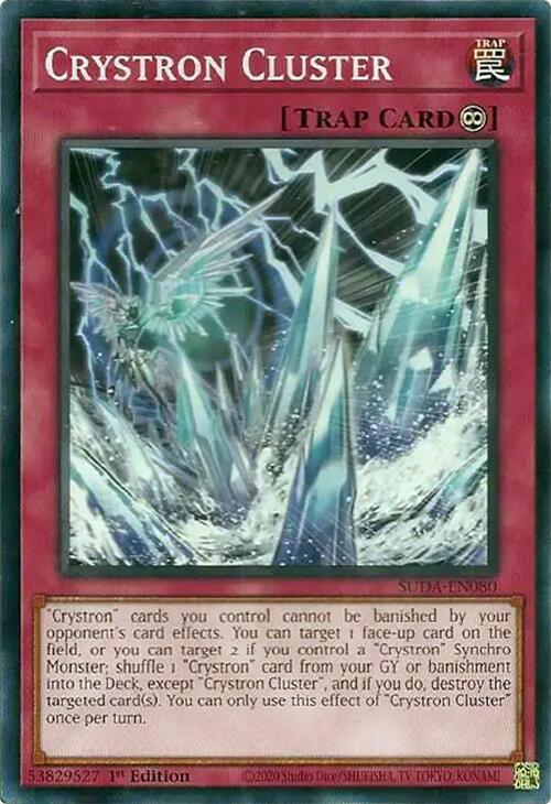 Crystron Cluster [SUDA-EN080] Common (ONLINE ORDER ONLY)